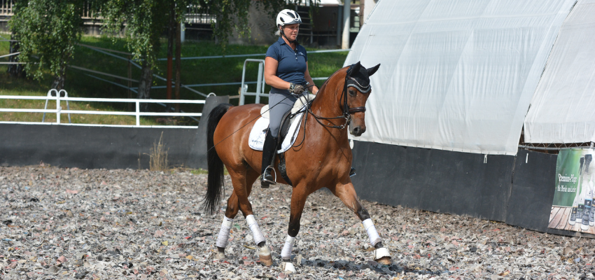 Uta Gräf reitet ein Pferd im Trab mit Kandare.