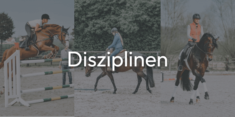 Disziplinen