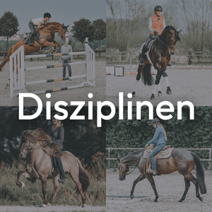 Disziplinen