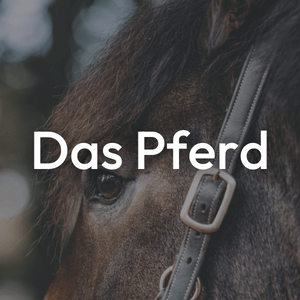 Das Pferd
