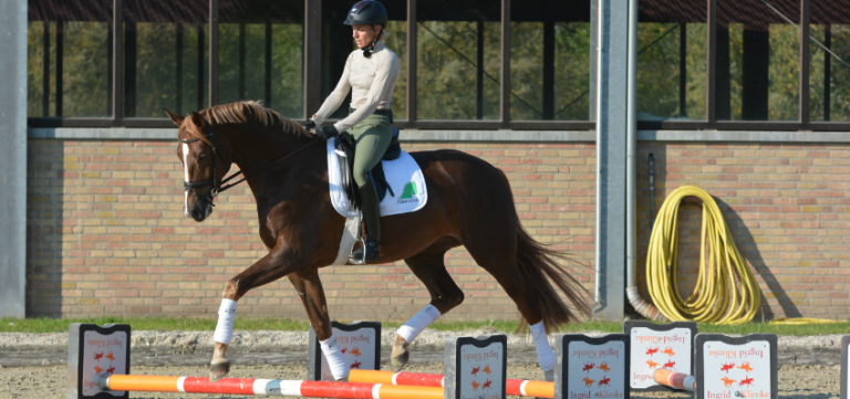 Ingrid Klimke beim Cavaletti-Training.