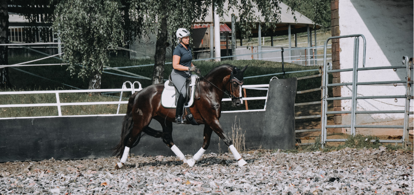 Uta Gräf reitet ein Pferd im Trab.