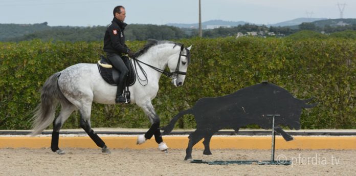 working-equitation-pedro-torres-riding working-equitation-pedro-torres-riding