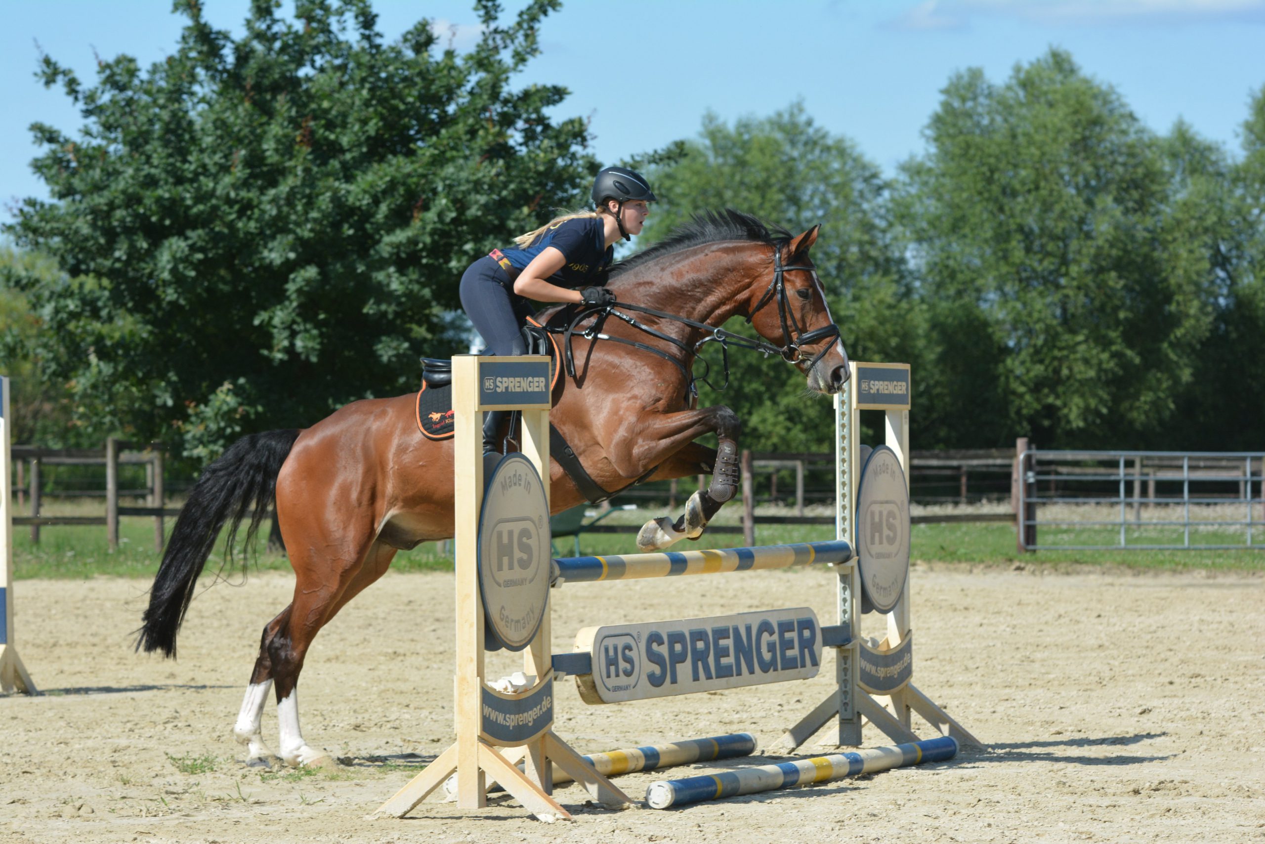 Lyrical sandhed donor Ready for showjumping? Those jumping exercises are great for your horse!