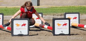 Lunging training cavaletti distances - Ingrid Klimke