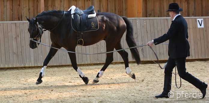 philippe-karl-légèreté-lunging