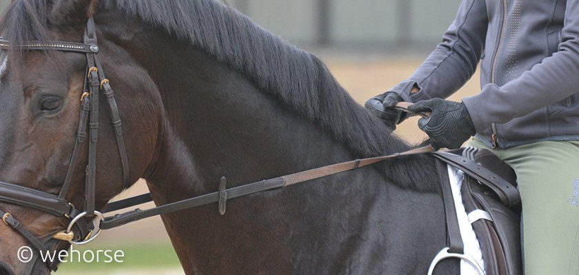 bridging-reins-ingrid-klimke-riding-contact bridging-reins-ingrid-klimke-riding-contact