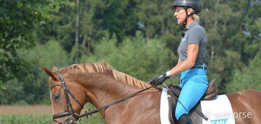 horse-riding-hands-ingrid-klimke horse-riding-hands-ingrid-klimke