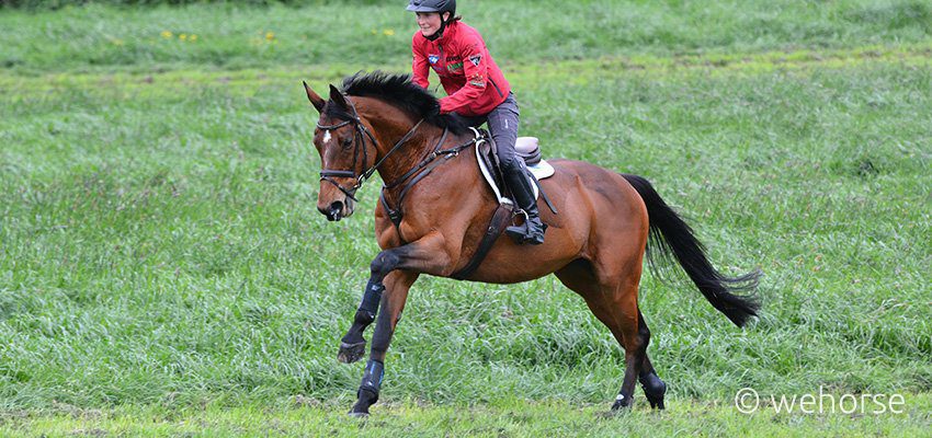 Ingrid-klimke-leg-protection-horse-riding