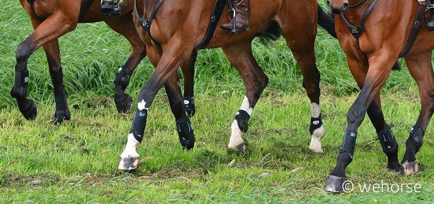 Boots or bandadges? The right choice to protect our horses' legs.