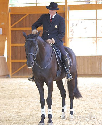 philippe-karl-riding philippe-karl-riding