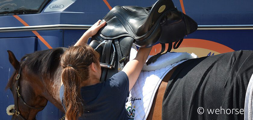 saddle-pad-horse-back saddle-pad-horse-back