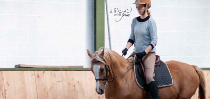 training-horses-riding