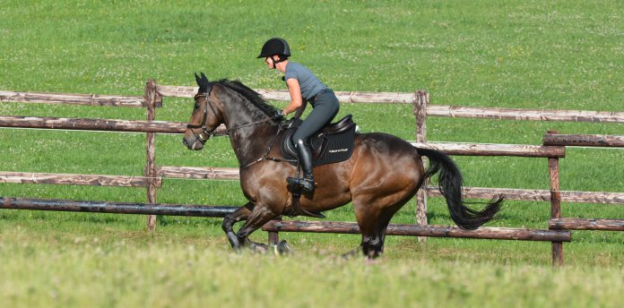 eventing-training eventing-training