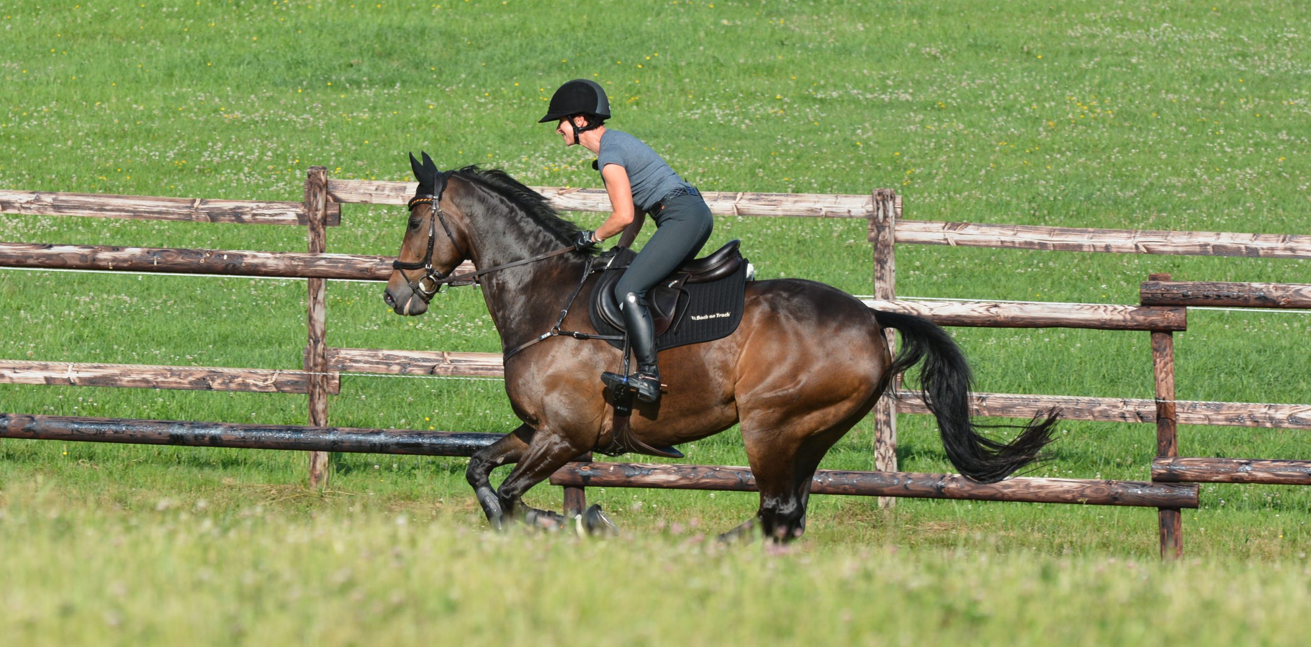 eventing-training