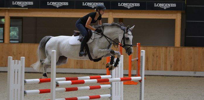 show-jumping-oxer show-jumping-oxer