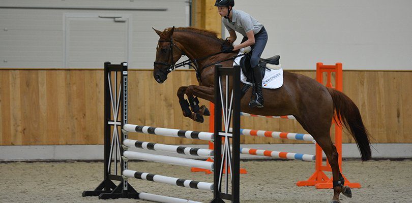 Show jumping with horses - Challenging and fun!