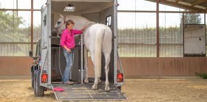 loading-horse-trailer