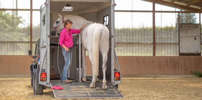 loading-horse-trailer loading-horse-trailer
