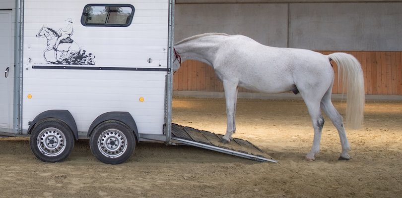 trailer-loading-success trailer-loading-success