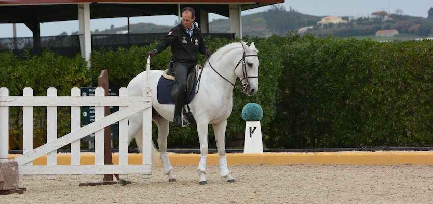 working-equitation-gate