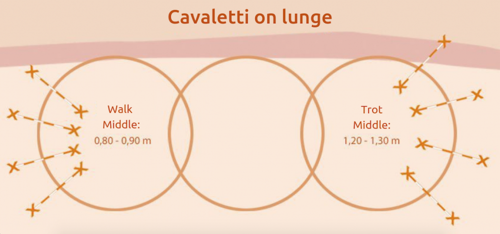 Cavaletti-training-lunge Cavaletti-training-lunge