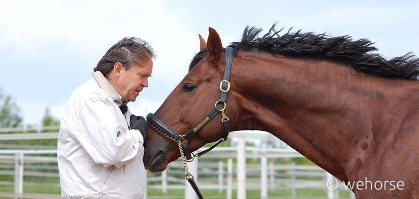 Schneider-training-young-horses-nose-chain