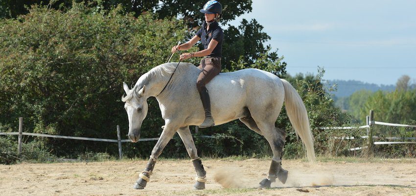 bareback-riding-alizee bareback-riding-alizee