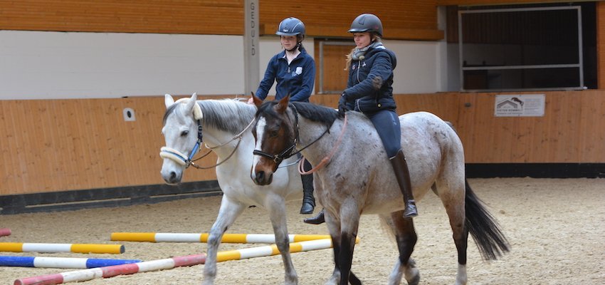 Riding Bareback Here Is What You Should Know