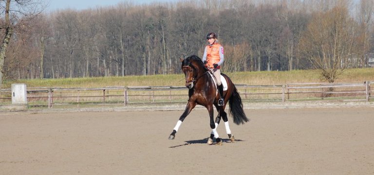 dressage-test-ingrid-klimke