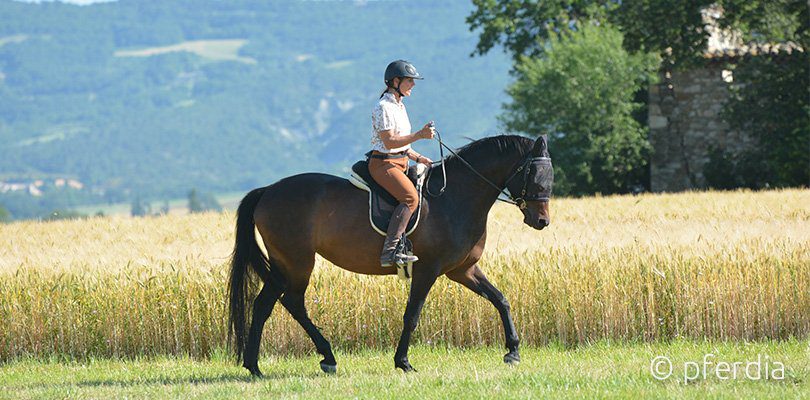 légèreté-riding-training