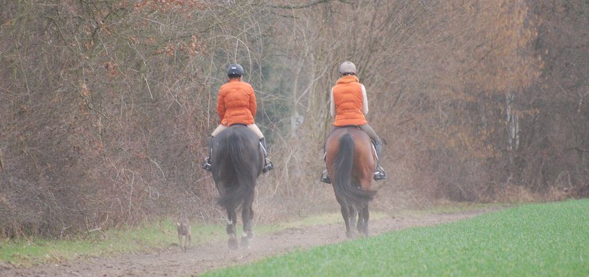 endurance-training endurance-training