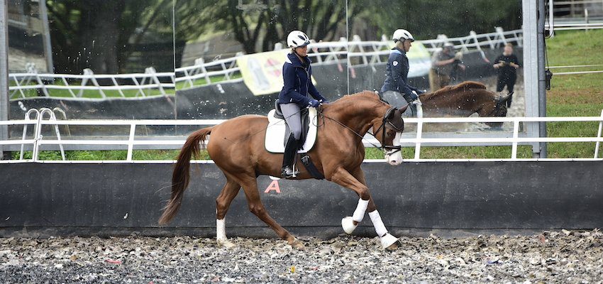 bending-horse-uta bending-horse-uta