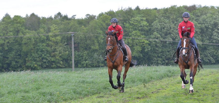 galloping-horses