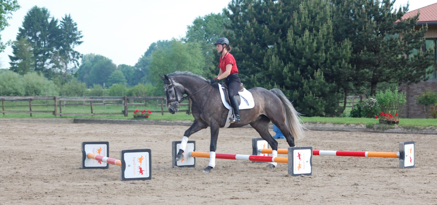 horse-canter-cavaletti