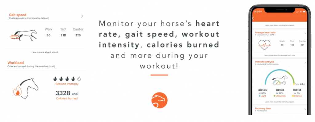 interval-training-tool interval-training-tool