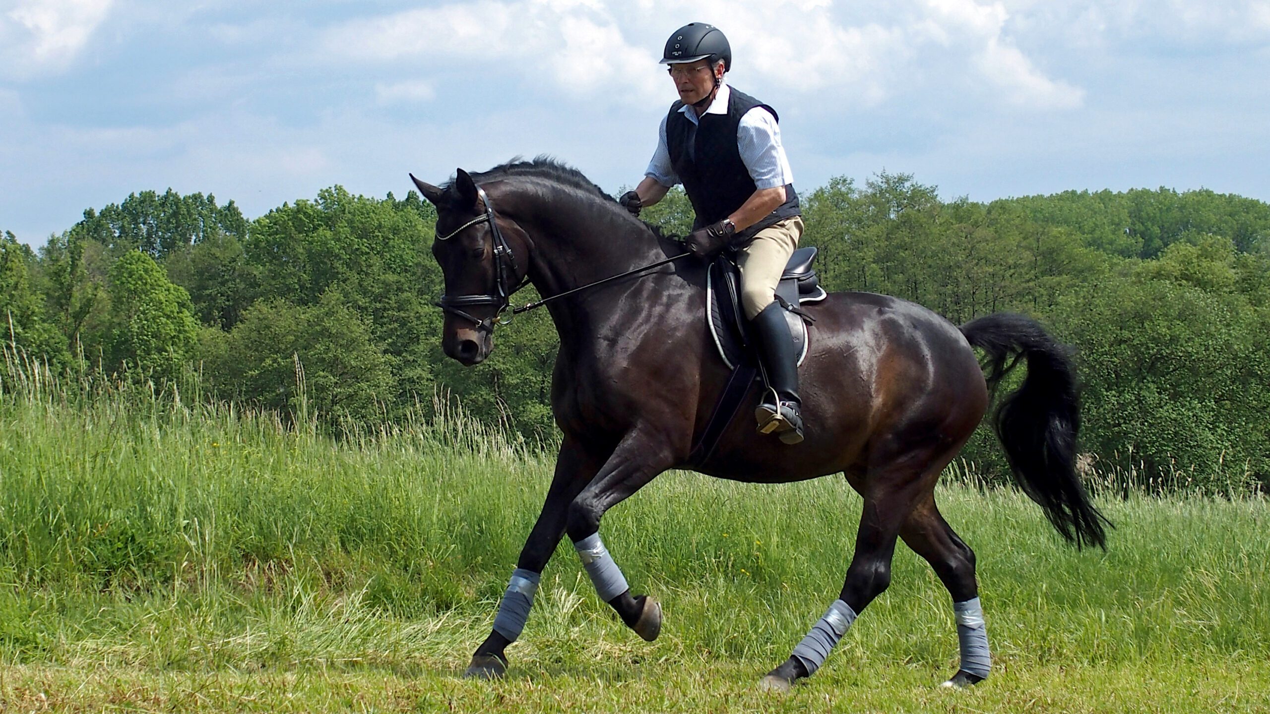 Smith Mountain Lake Horseback Riding Lesson