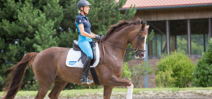 wehorse-Ingrid-Klimke-Dressage-Training