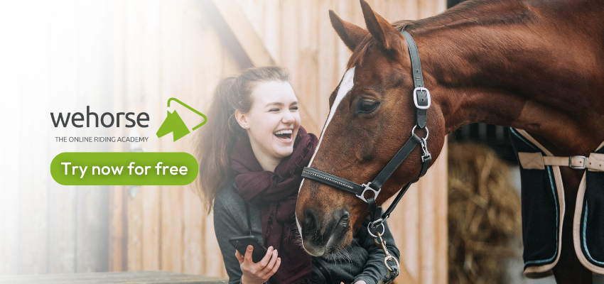 wehorse-online-riding-courses