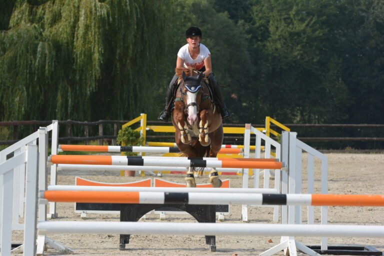 Show jumping with horses - Challenging and fun!