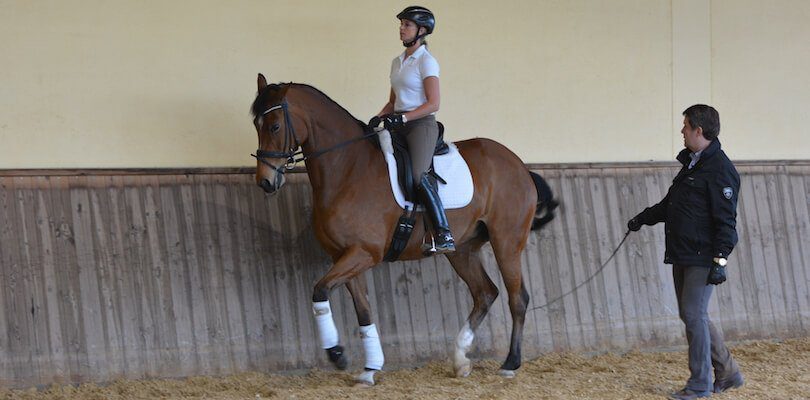 A horse trainer is assisting with training the horse in the piaffe from the ground while the rider gives the aids