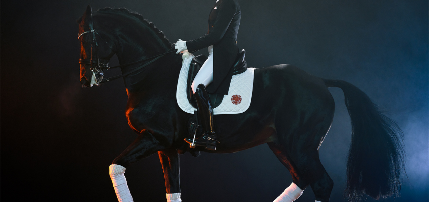 Dressage rider doing an incorrect piaffe on horse with a hollowed back.