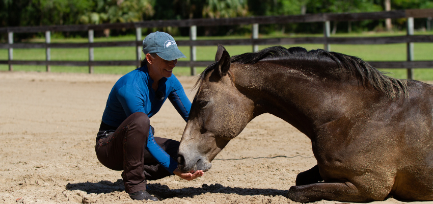 Trainer Karen Rohlf has a peaceful moment with her horse as they build their bond and develop confidence in one another.