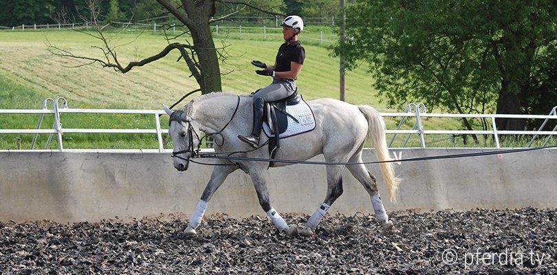 Trainer Uta Graf practices improving her seat regularly using exercises while on the lunge.