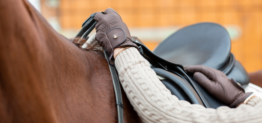 A close-up photo of a rider about to mount up on a horse.