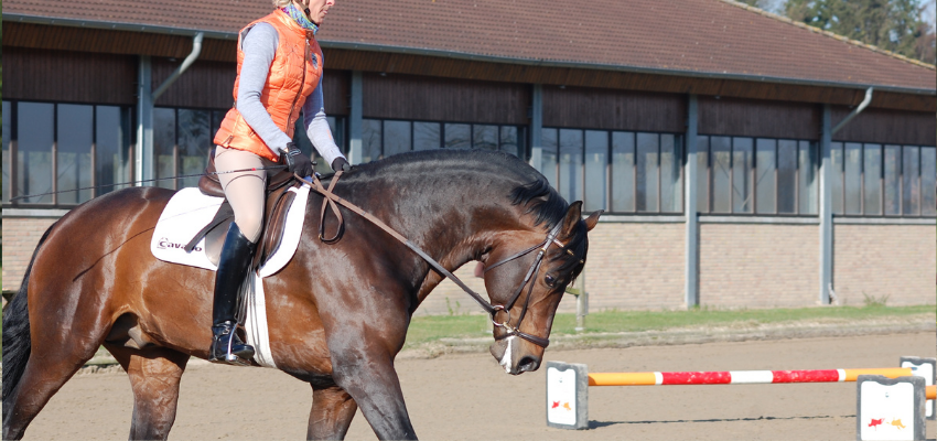 Ingrid Klimke rides her stallion in a forward and down stretching position.