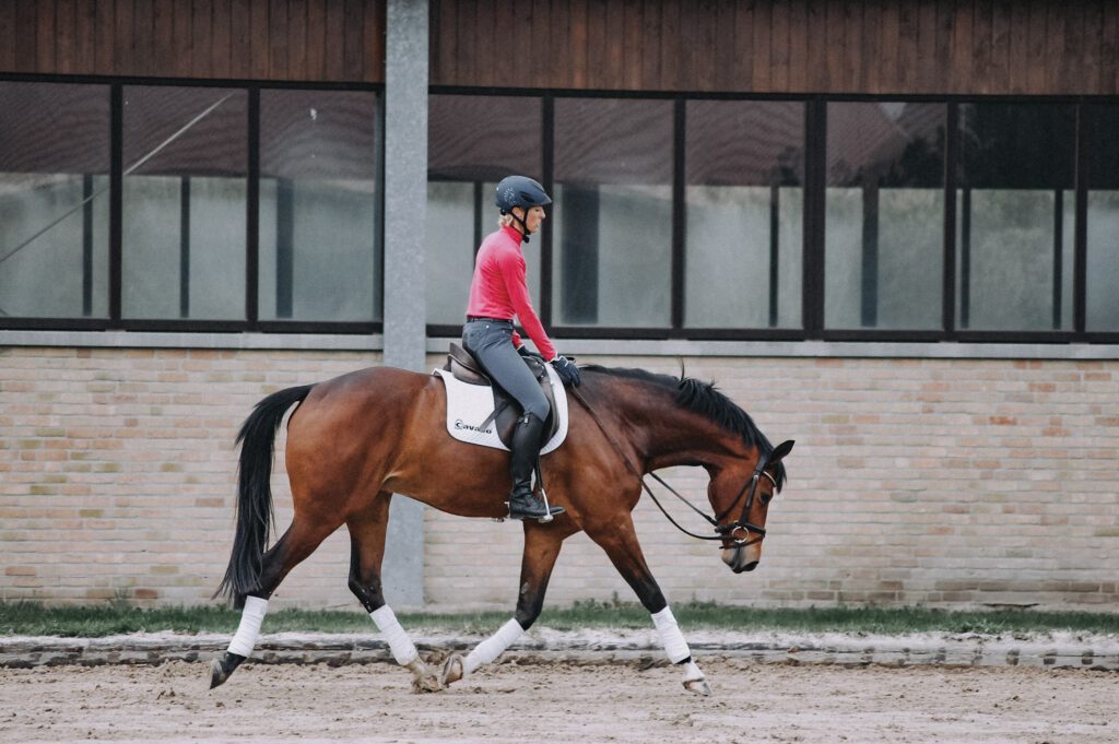 Olympic medalist Ingrid Klimke trotting a horse with a low, stretching topline.