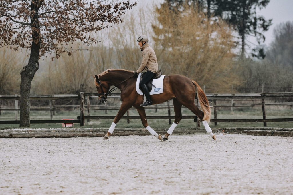 Olympic medalist Ingrid Klimke riding a horse with correct contact at the trot.