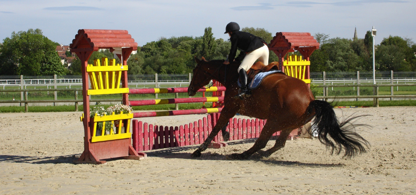 A horse refusing a jump.