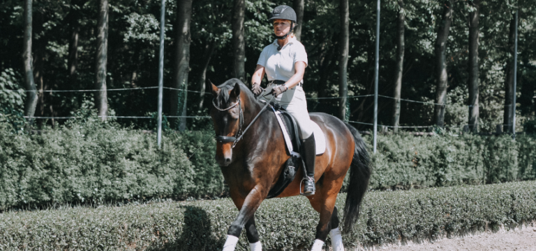 Question: Contact in a Bosal or Bit - Working Equitation Simplified